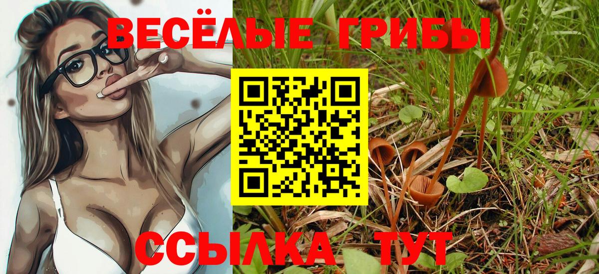 Большой Камень  Галлюциногенные грибы мицелий  Вход с VPN 